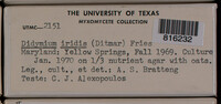 Image Associated With the Occurence